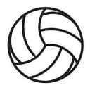 Voleybol