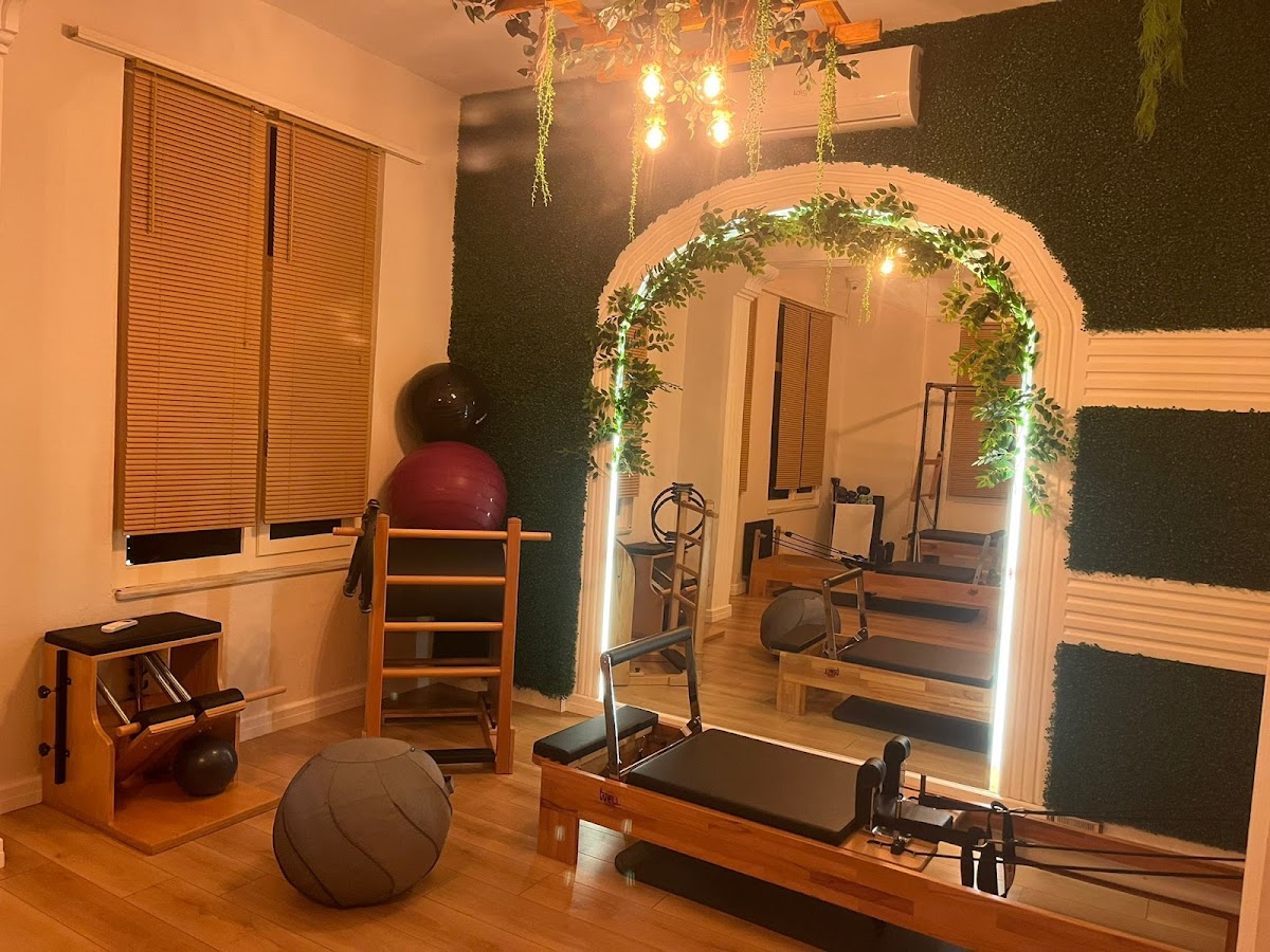 Alleyfit Wellness Studio - Şile Spor Tesisi - Görsel 4