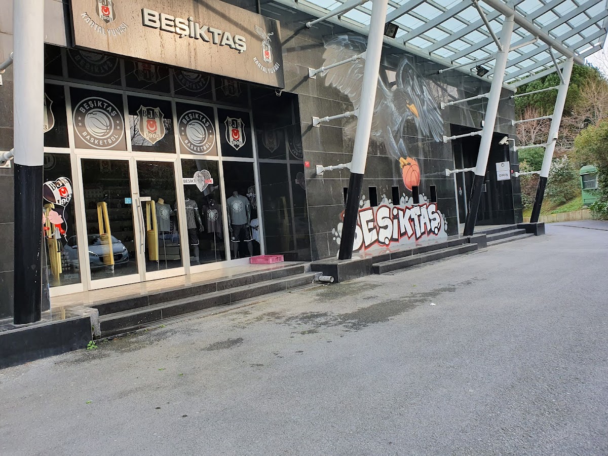 Beşiktaş GAİN Spor Kompleksi - Beşiktaş Spor Tesisi - Görsel 7