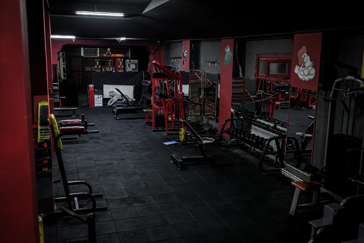 Beykoz Fitness Spor Kulübü - Beykoz Spor Tesisi - Görsel 5