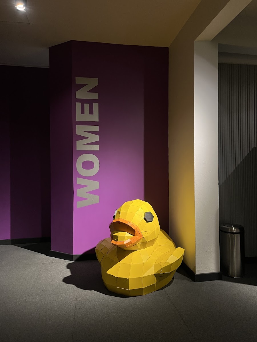 BUN Training Club - Kadıköy Spor Tesisi - Görsel 5