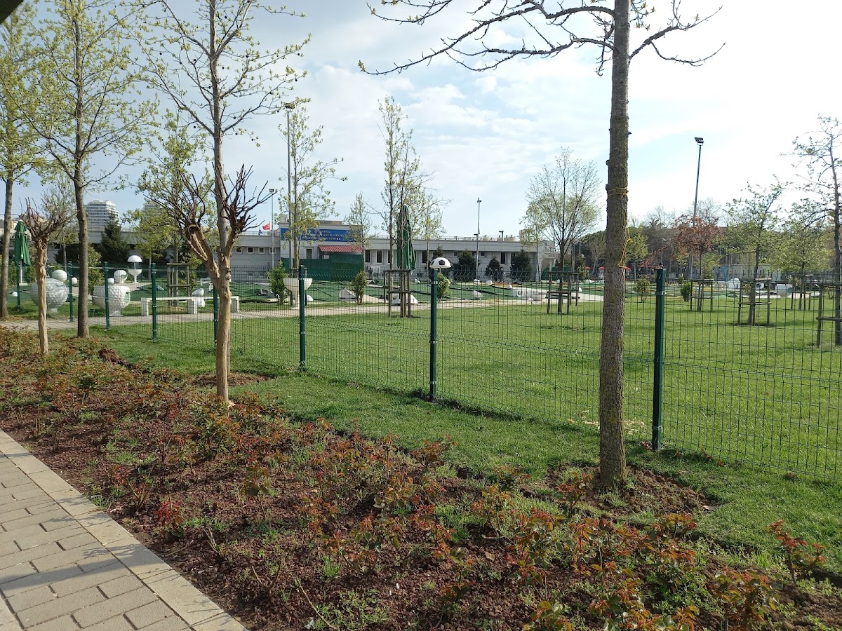 Çırpıcı Halı Sahaları - Zeytinburnu Spor Tesisi - Görsel 7