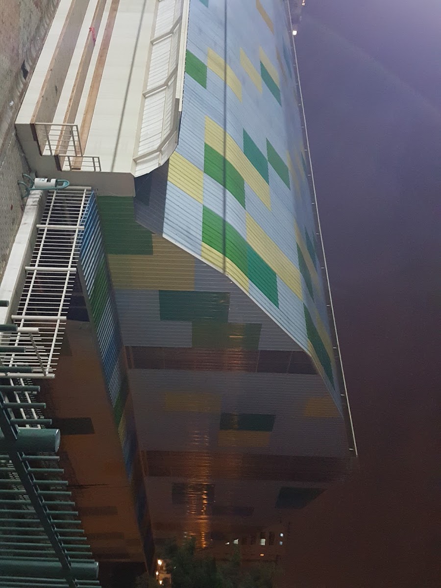 Dolayoba Spor Kulübü Halı Sahaları - Pendik Spor Tesisi - Görsel 5