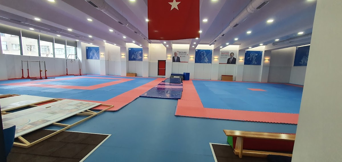 Fatih Belediyesi Draman Yüzme Havuzu ve Spor Kompleksi - Fatih Spor Tesisi - Görsel 5