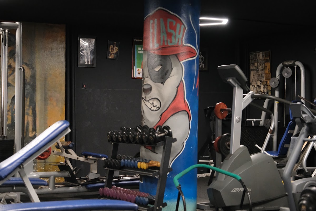 Flash Gym - Beyoğlu Spor Tesisi - Görsel 4