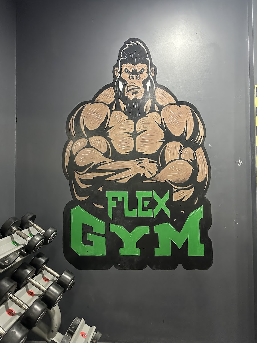 Flex Gym Bağlarbaşı - Gaziosmanpaşa Spor Tesisi - Görsel 3