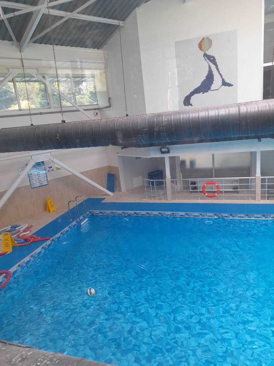 Fulya Yüzme Havuzu ve Spor Merkezi - Şişli Spor Tesisi - Görsel 2