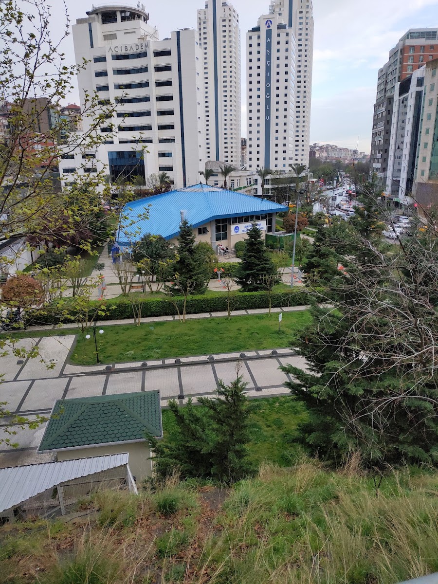 Fulya Yüzme Havuzu ve Spor Merkezi - Şişli Spor Tesisi - Görsel 6