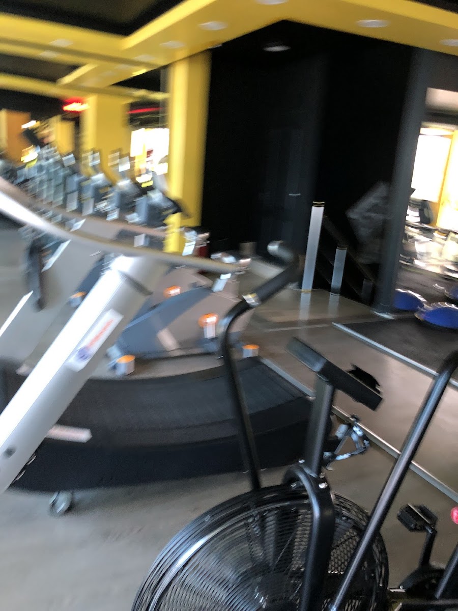 Gold Gym Cennet - Küçükçekmece Spor Tesisi - Görsel 3