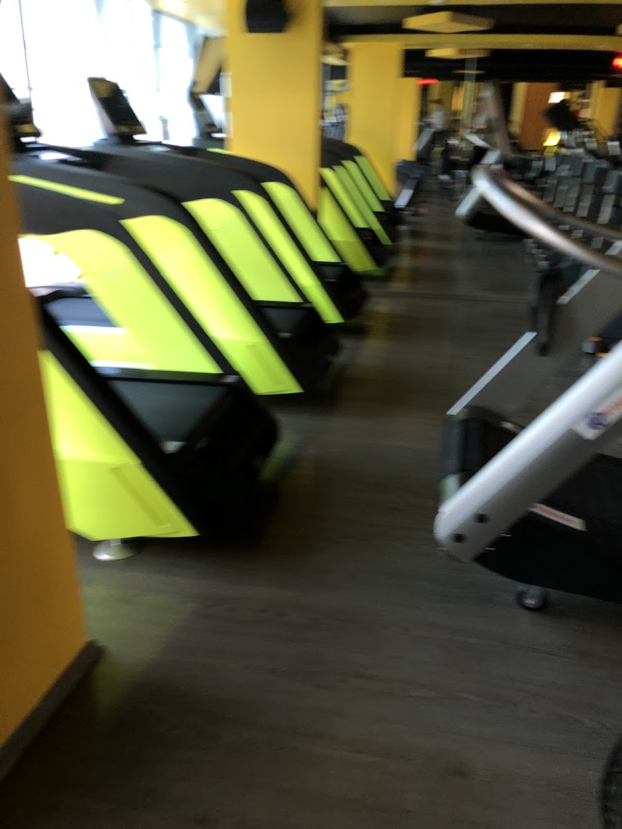 Gold Gym Cennet - Küçükçekmece Spor Tesisi - Görsel 8