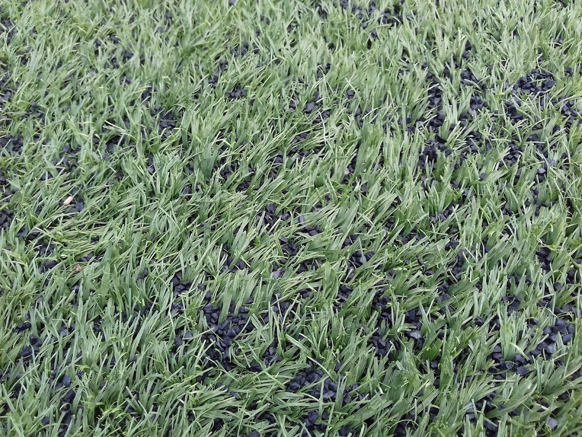 Halı Saha (Namık Kemal) - Ümraniye Spor Tesisi - Görsel 4