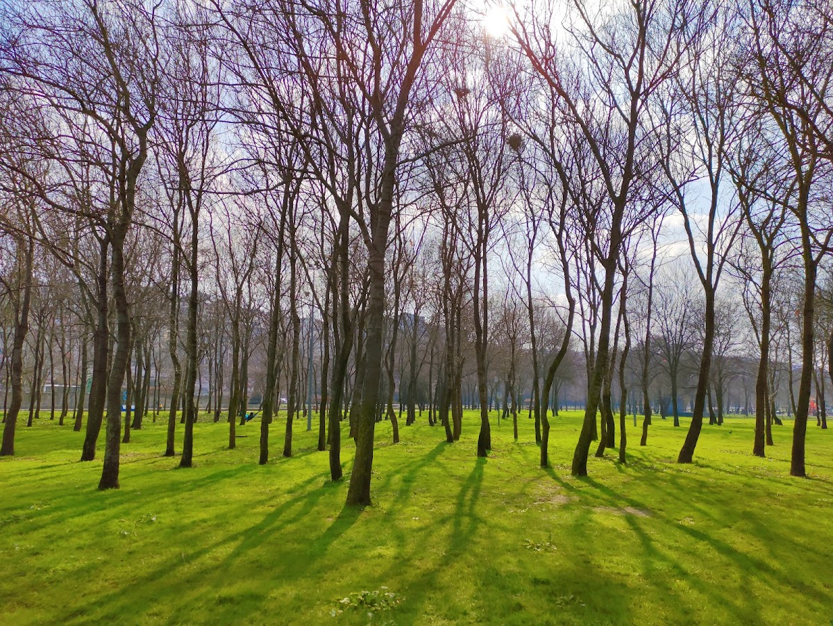 Hasbahçe Mesire Alanı - Kağıthane Spor Tesisi - Görsel 8