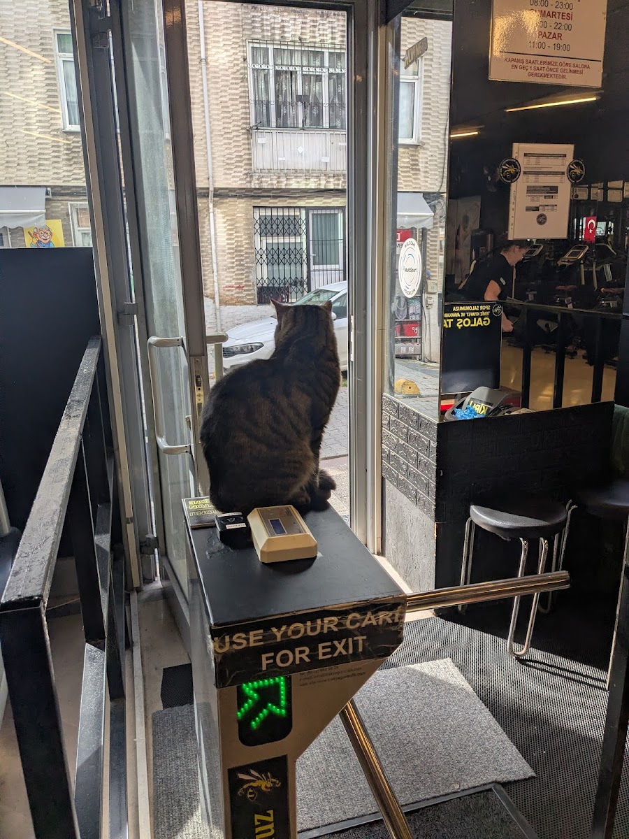 Hornets Gym - Kadıköy Spor Tesisi - Görsel 5