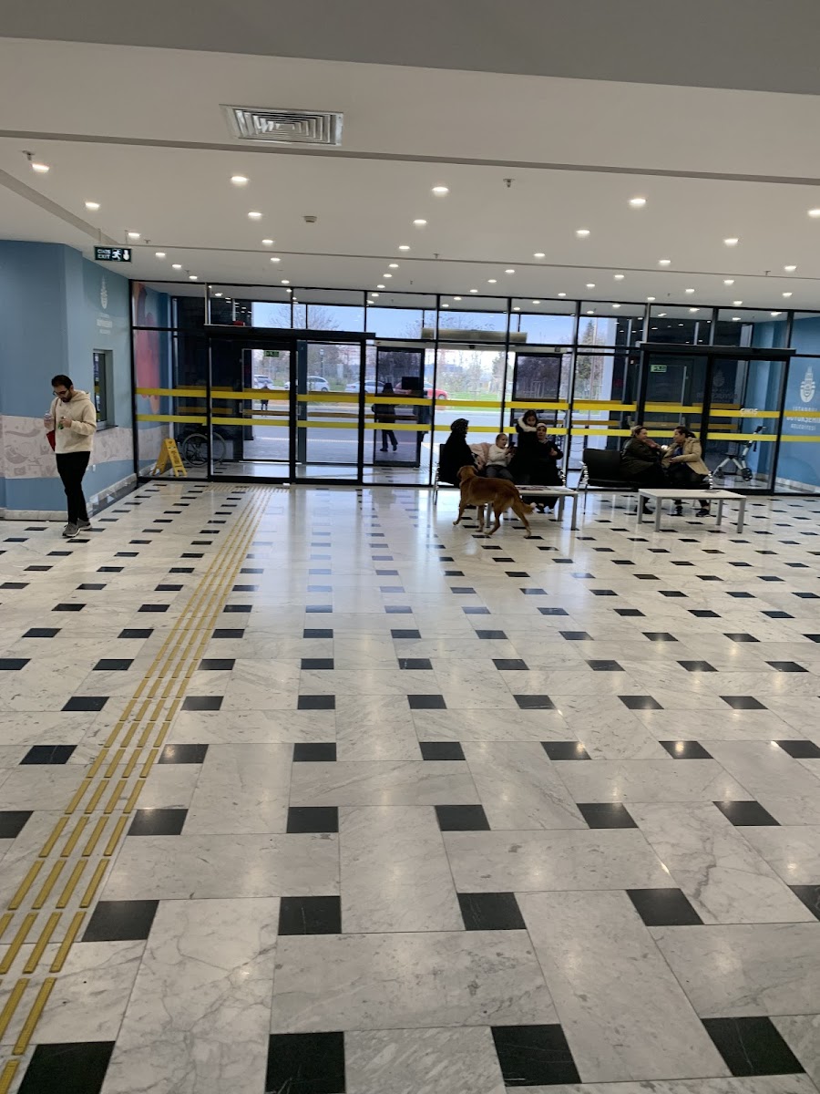 İBB Kafkale Yüzme Havuzu - Tuzla Spor Tesisi - Görsel 8