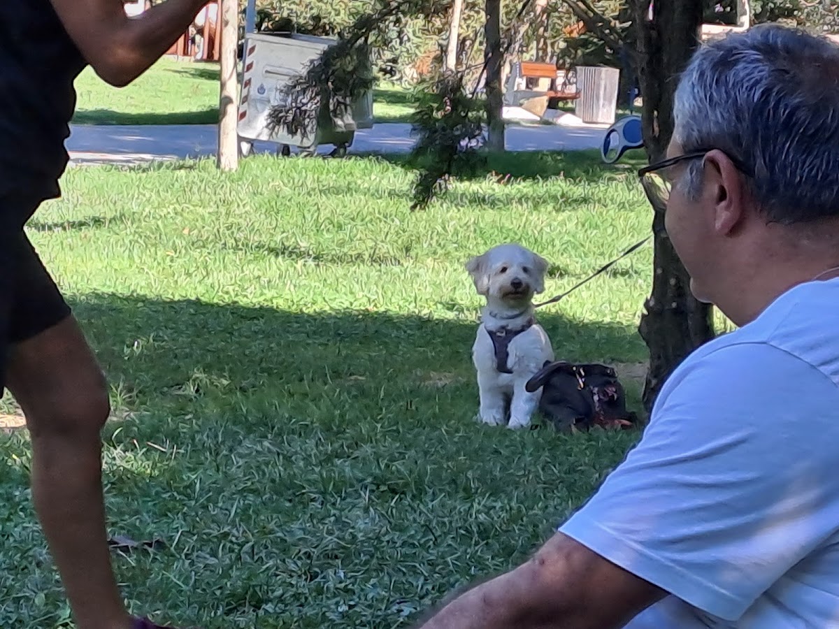 İzzetpaşa Mahallesi Spor Merkezi - Şişli Spor Tesisi - Görsel 3