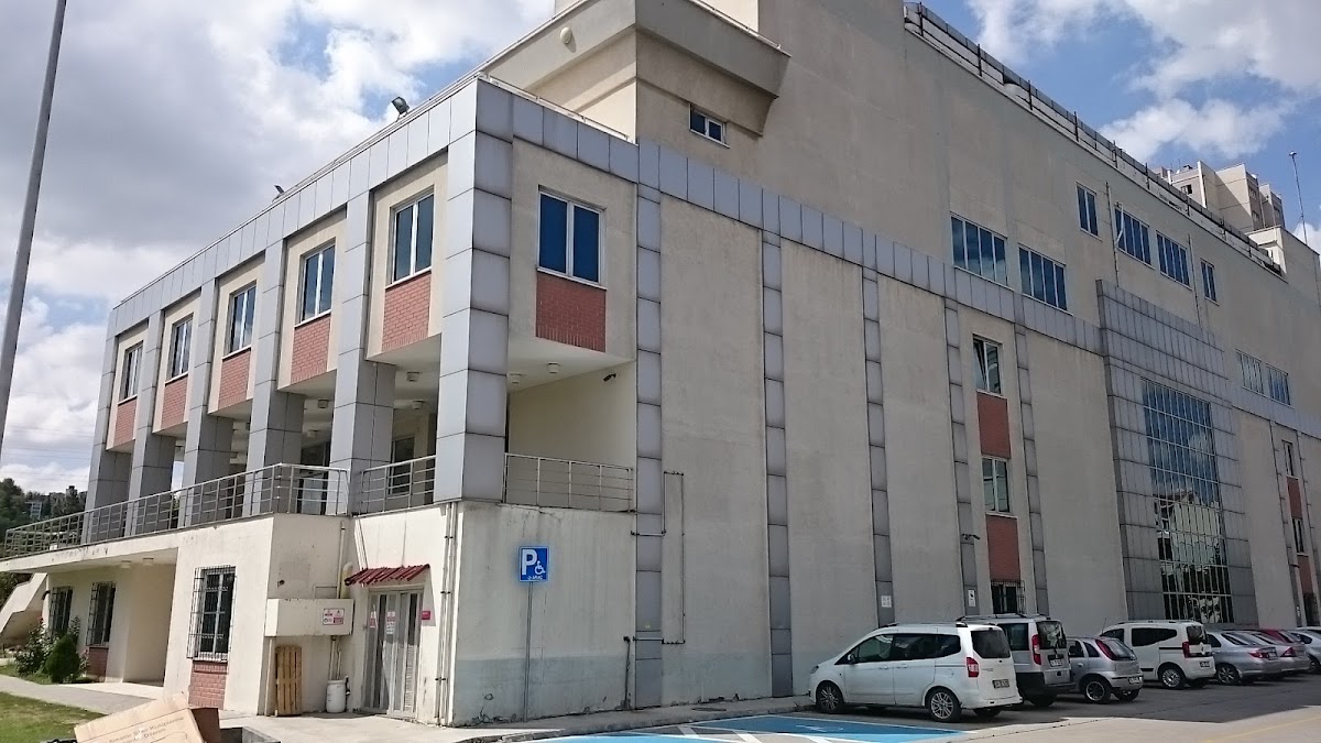 Küçükçekmece Belediyesi Halkalı Yüzme Havuzu - Küçükçekmece Spor Tesisi - Görsel 3