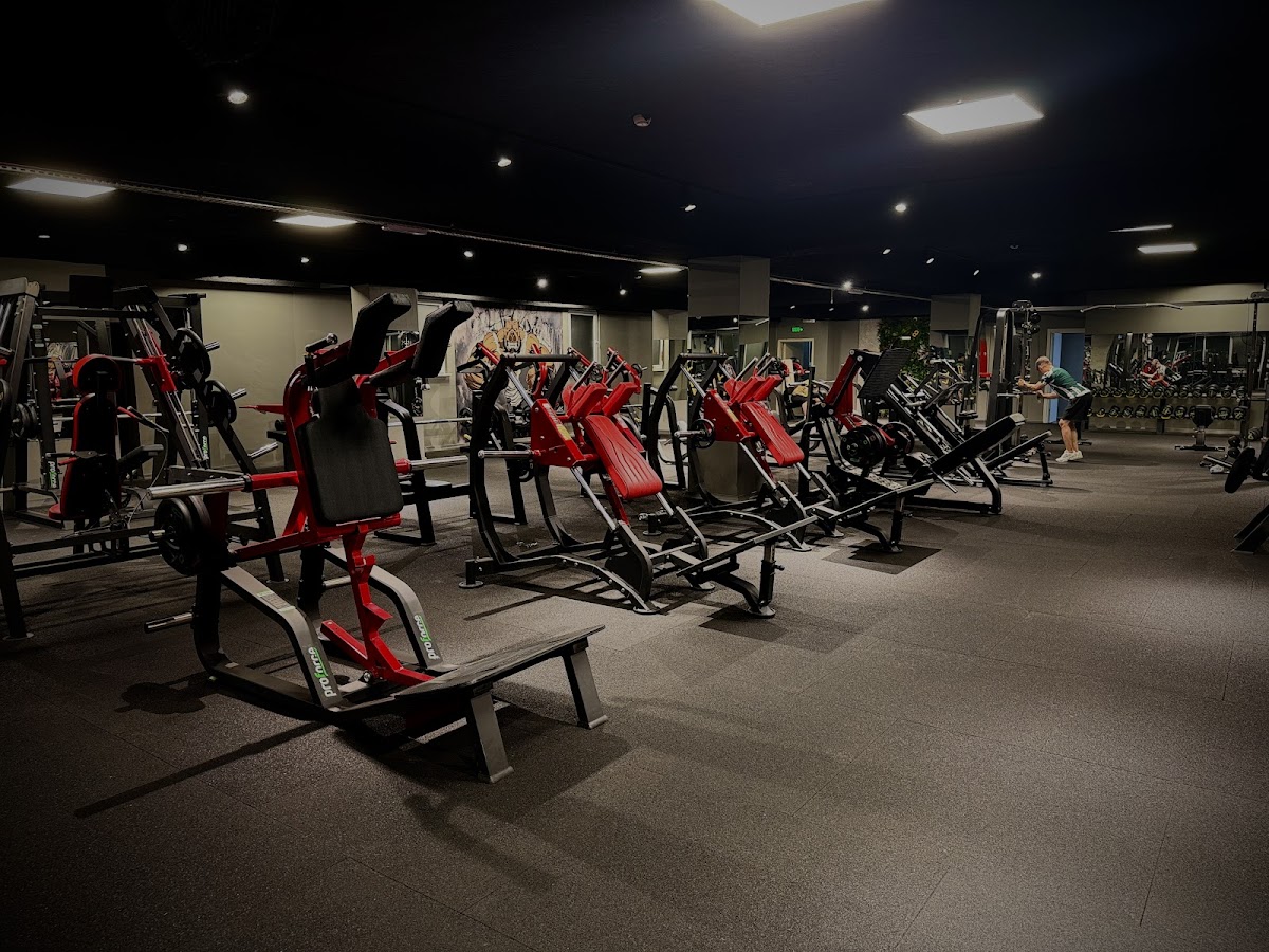 Life Express Fitness Esenler - Esenler Spor Tesisi - Görsel 2