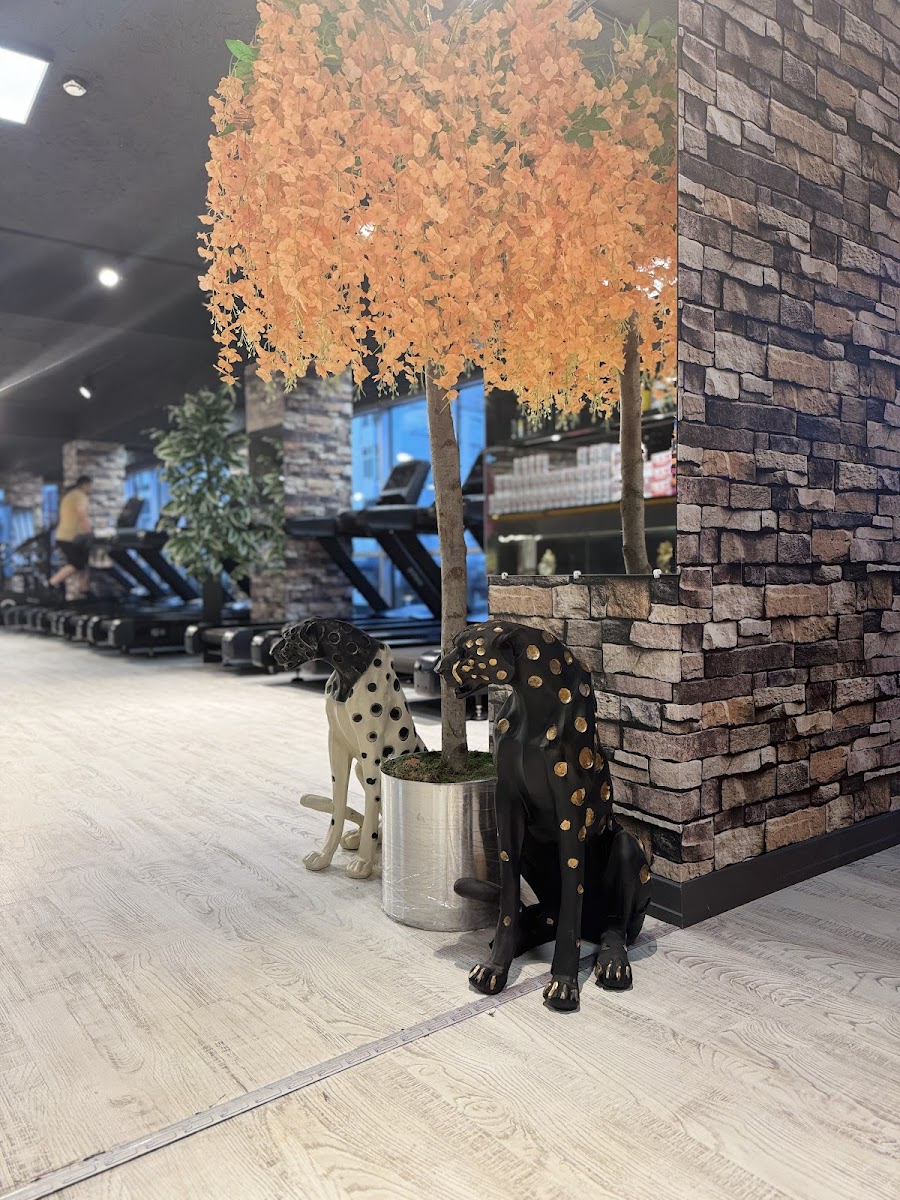 Life Express Fitness Esenler - Esenler Spor Tesisi - Görsel 4