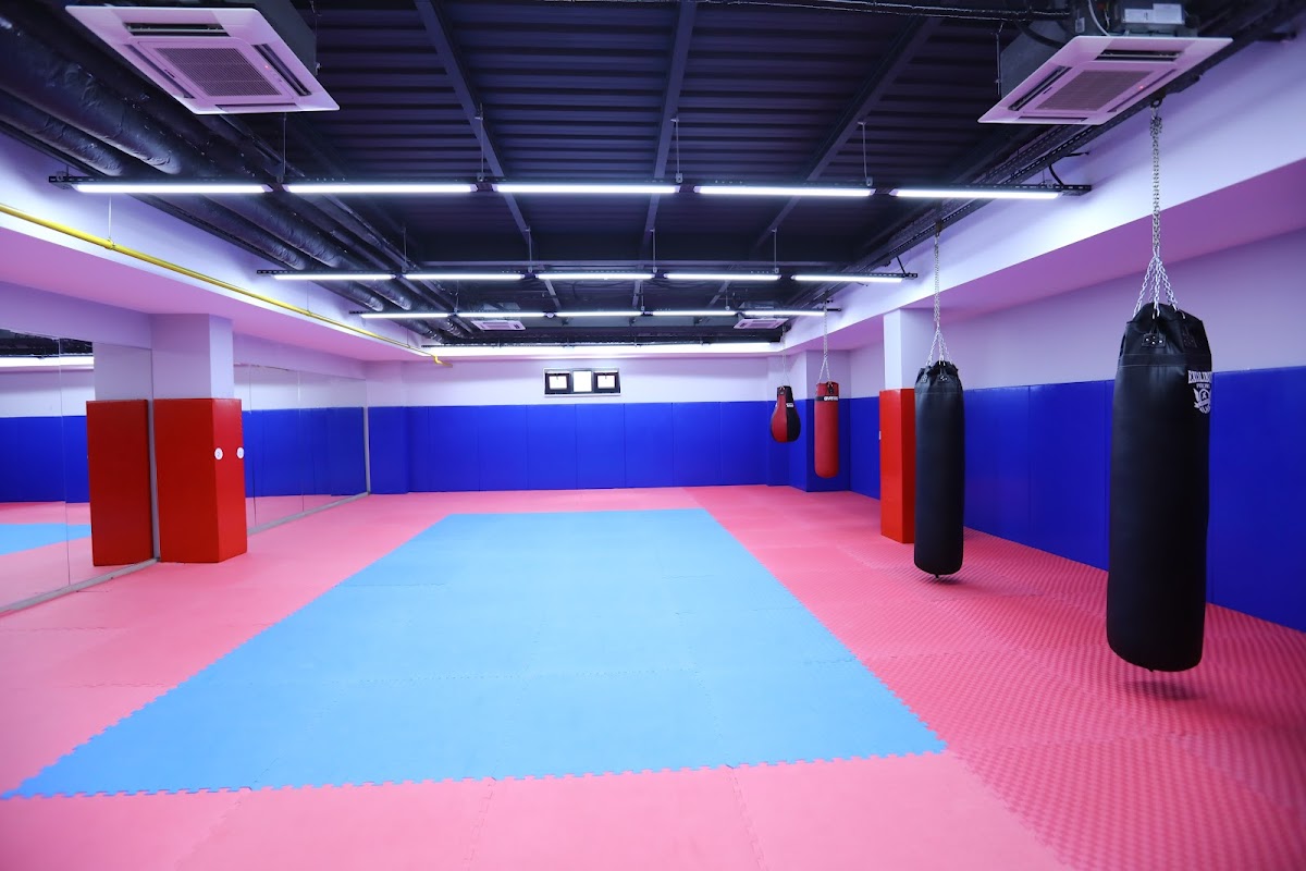 Mehmet Öcalan Spor Kompleksi - Esenler Spor Tesisi - Görsel 2