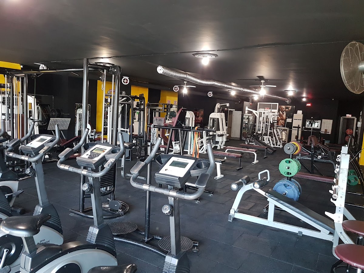 Meydan Sport Club - Beykoz Spor Tesisi - Görsel 3