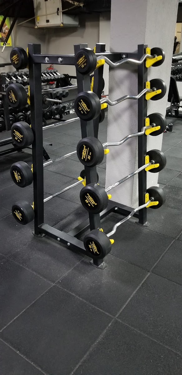 My Fitness Gym Club - Şişli Spor Tesisi - Görsel 4