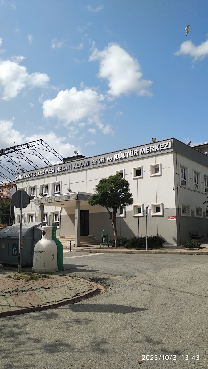Necati Alkan Spor ve Kültür Merkezi - Çekmeköy Spor Tesisi - Görsel 3