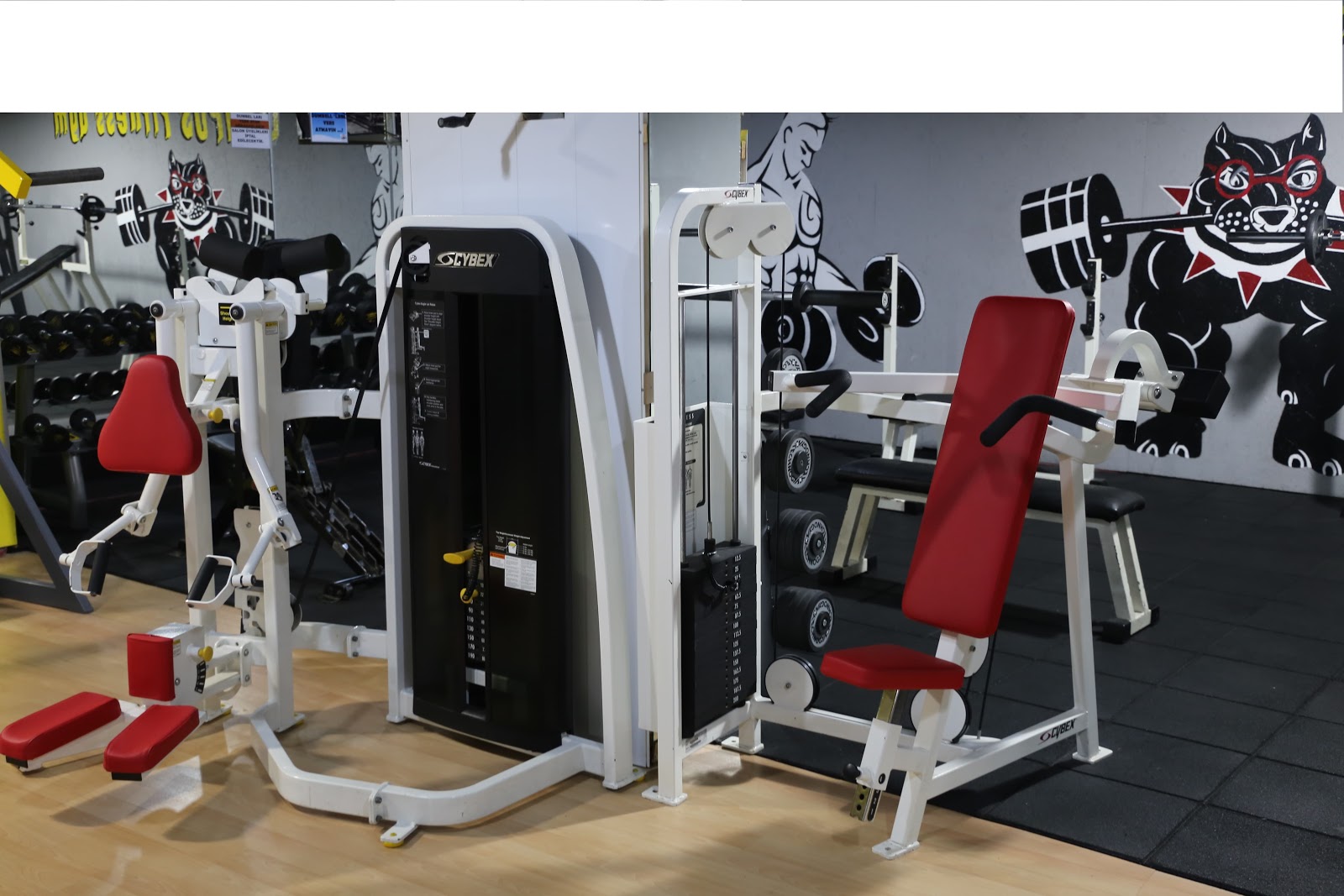 Olympus Fitness Gym - Maltepe Spor Tesisi - Görsel 7