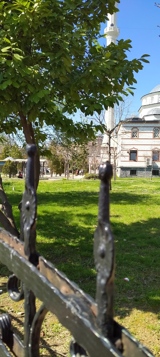 Pendik Sahil Spor Tesisi - Pendik Spor Tesisi - Görsel 6