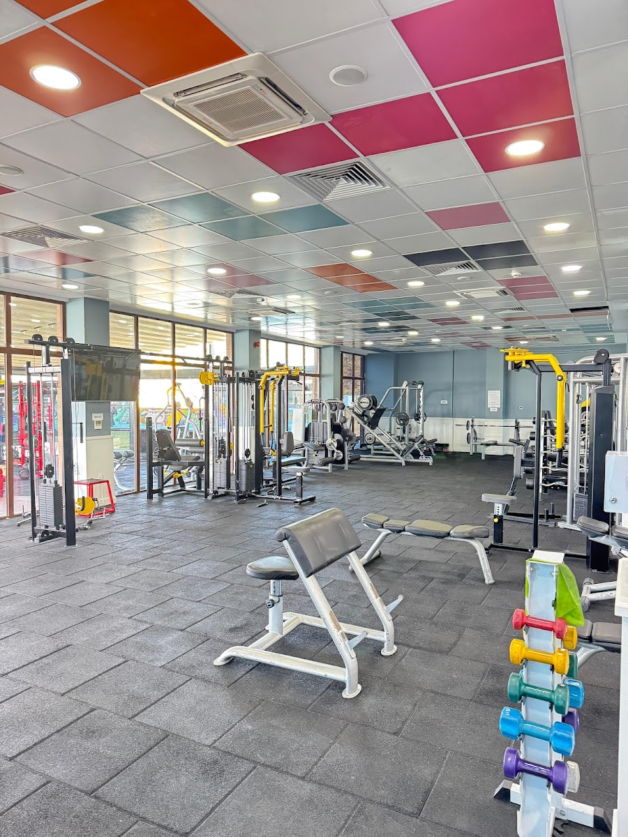 Şile Belediyesi Fitness Merkezi - Şile Spor Tesisi - Görsel 2