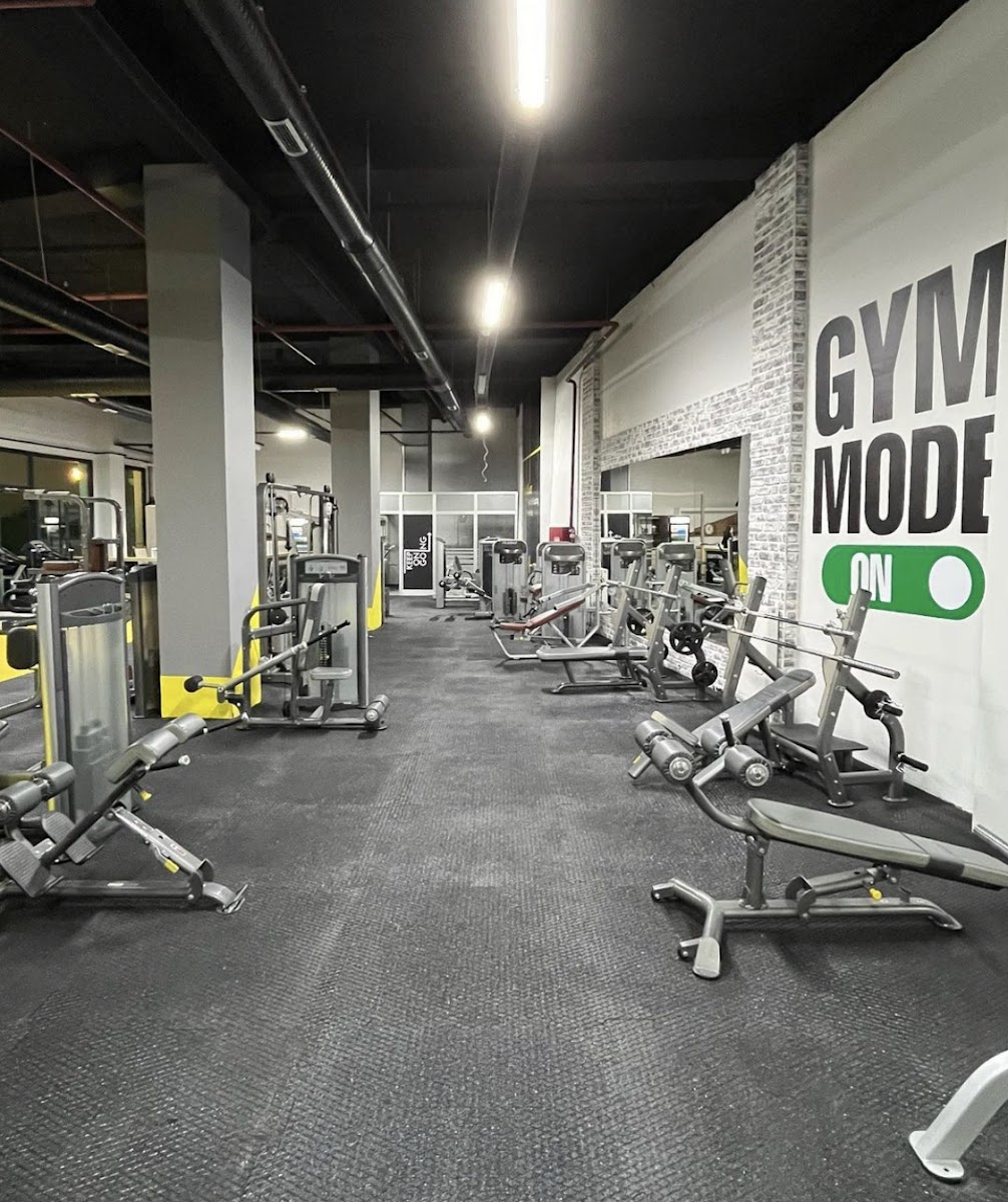 The Gym Halkalı - Küçükçekmece Fitness Tesisi