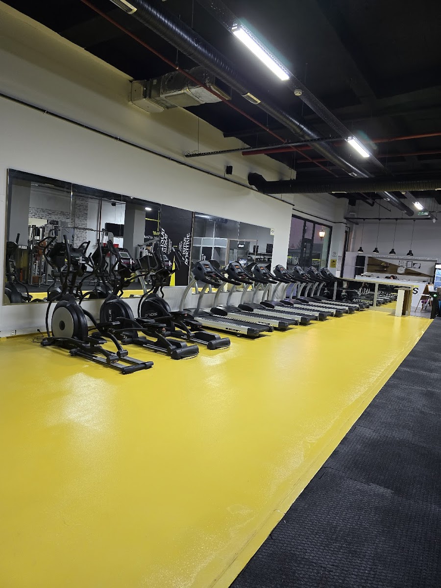 The Gym Halkalı - Küçükçekmece Spor Tesisi - Görsel 6