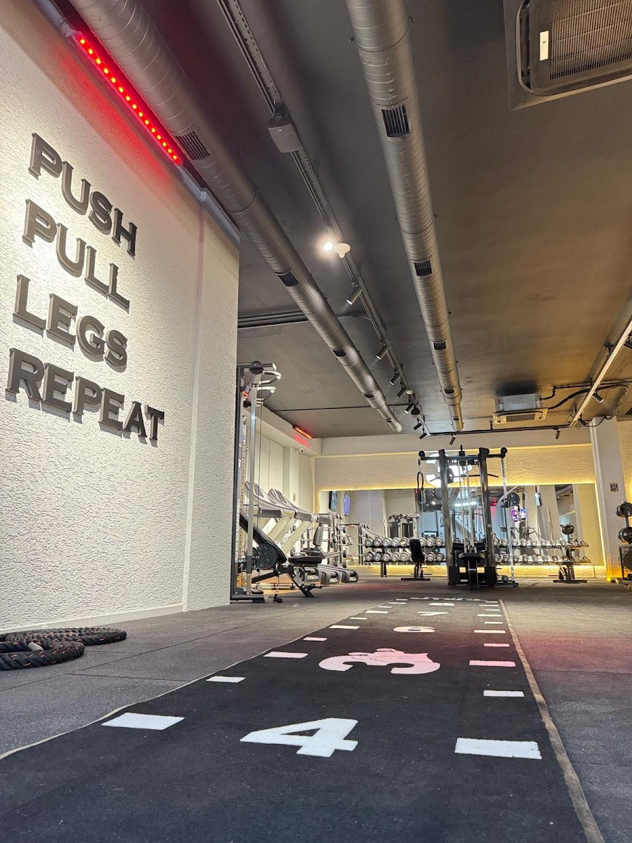 Trio Gym & Studio - Ümraniye Spor Tesisi - Görsel 5