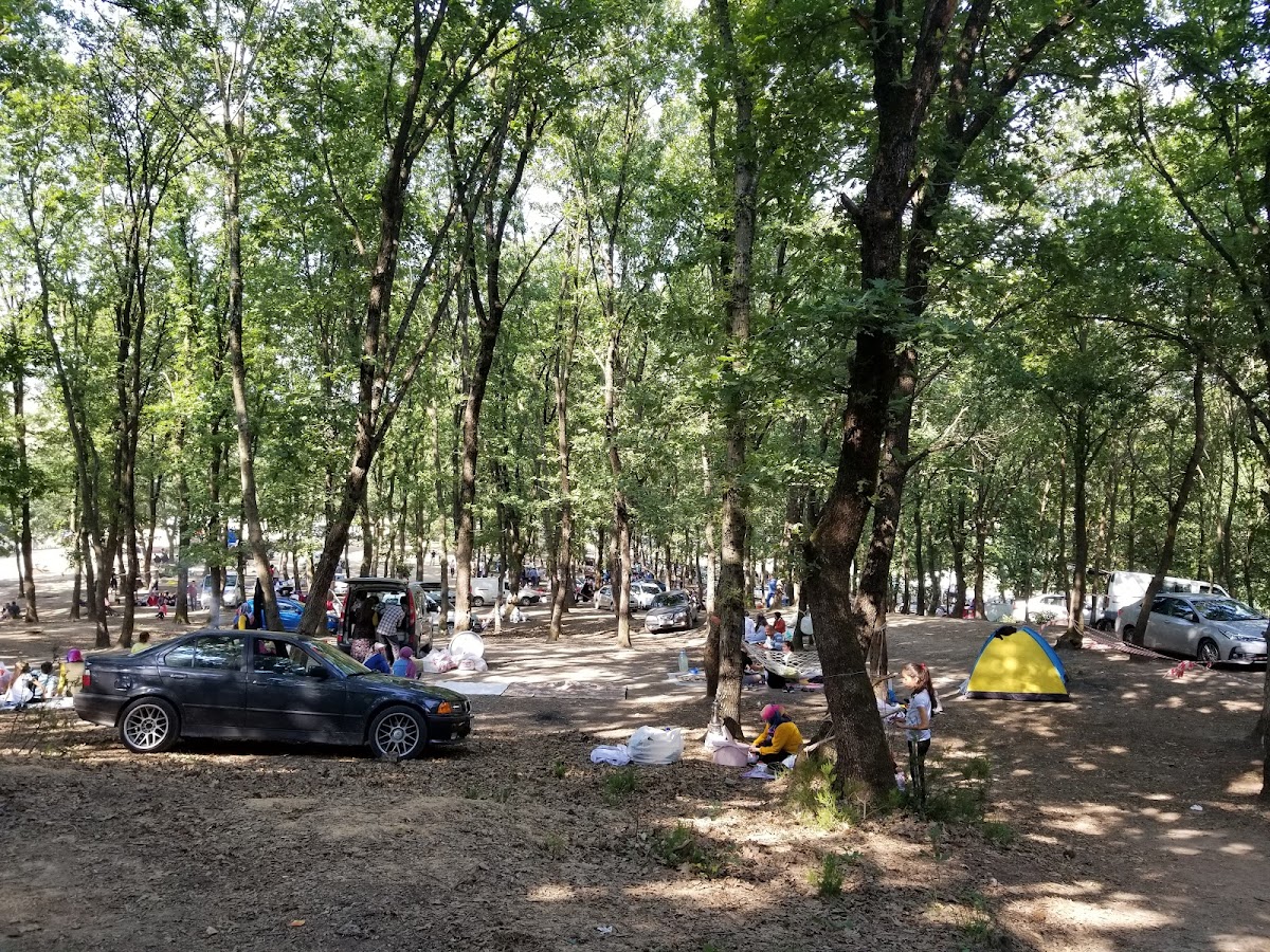 Tuzla Belediyesi Ömer Halisdemir Gençlik Kampı - Tuzla Spor Tesisi - Görsel 7