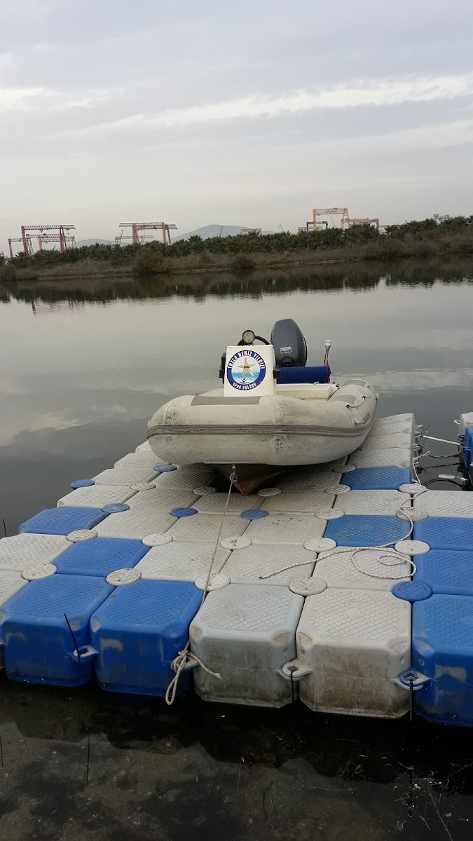 Tuzla Deniz Yıldızı Spor Kulübü - Tuzla Spor Tesisi - Görsel 8