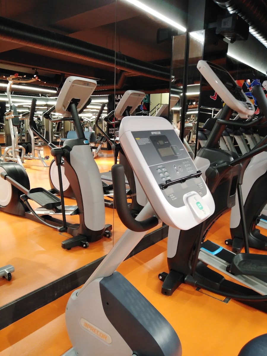 Ümraniye Belediyesi Necip Fazıl Yüzme Havuzu ve Spor Merkezi - Ümraniye Spor Tesisi - Görsel 3