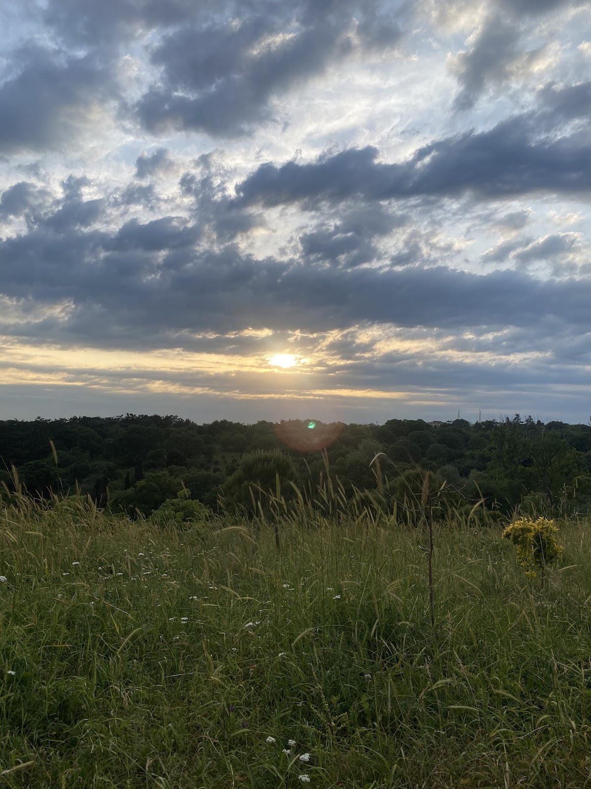 Validebağ Korusu - Üsküdar Spor Tesisi - Görsel 8