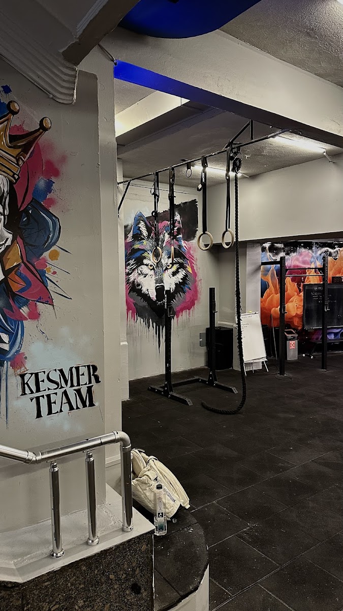 Wolf Haven CrossFit - Şişli Spor Tesisi - Görsel 2