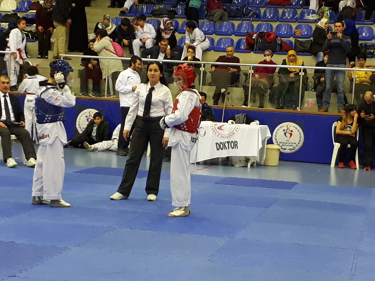 Yusuf Ziya Öniş Stadyumu - Sarıyer Spor Tesisi - Görsel 6